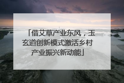 借艾草产业东风，玉玄道创新模式激活乡村产业振兴新动能
