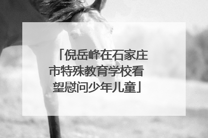 倪岳峰在石家庄市特殊教育学校看望慰问少年儿童