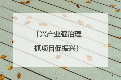 兴产业强治理 抓项目促振兴