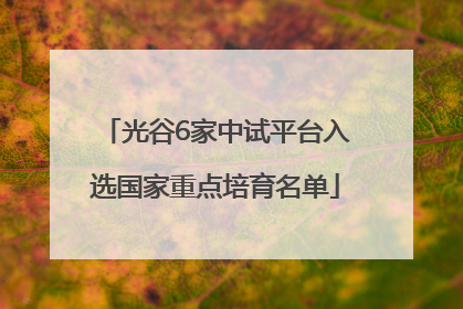 光谷6家中试平台入选国家重点培育名单