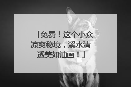 免费！这个小众凉爽秘境，溪水清透美如油画！