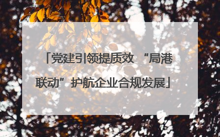 党建引领提质效 “局港联动”护航企业合规发展