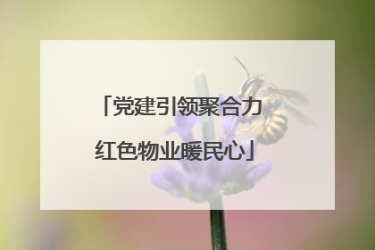 党建引领聚合力 红色物业暖民心