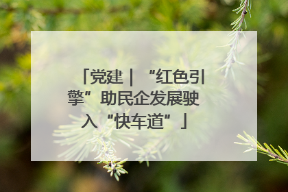 党建｜“红色引擎”助民企发展驶入“快车道”