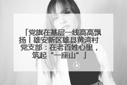 党旗在基层一线高高飘扬丨雄安新区雄县黄湾村党支部：在老百姓心里，筑起“一座山”