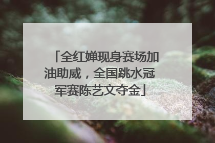 全红婵现身赛场加油助威，全国跳水冠军赛陈艺文夺金