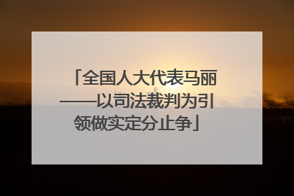 全国人大代表马丽——以司法裁判为引领做实定分止争