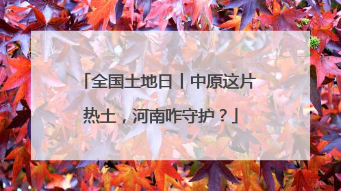 全国土地日丨中原这片热土，河南咋守护？