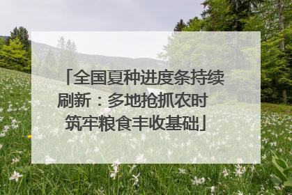 全国夏种进度条持续刷新：多地抢抓农时 筑牢粮食丰收基础