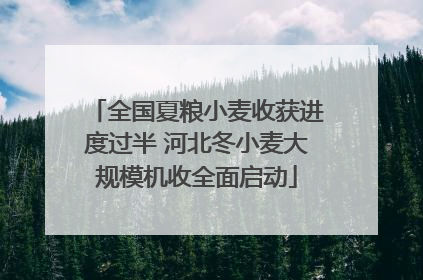 全国夏粮小麦收获进度过半 河北冬小麦大规模机收全面启动