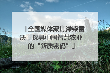 全国媒体聚焦潍柴雷沃，探寻中国智慧农业的“新质密码”