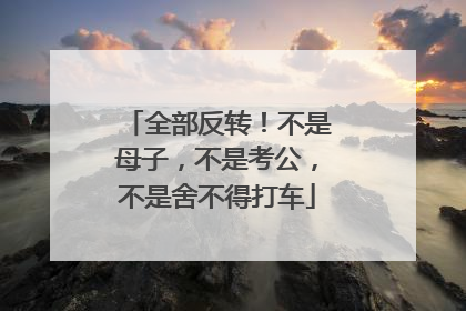 全部反转！不是母子，不是考公，不是舍不得打车