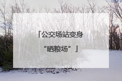 公交场站变身“晒粮场”