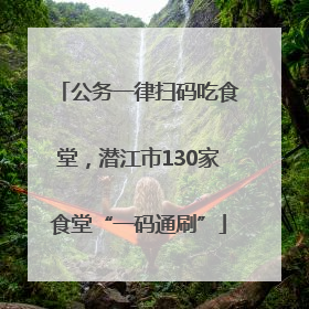 公务一律扫码吃食堂，潜江市130家食堂“一码通刷”