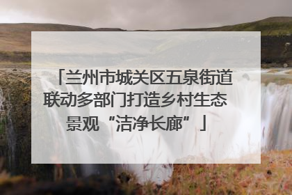 兰州市城关区五泉街道联动多部门打造乡村生态景观“洁净长廊”