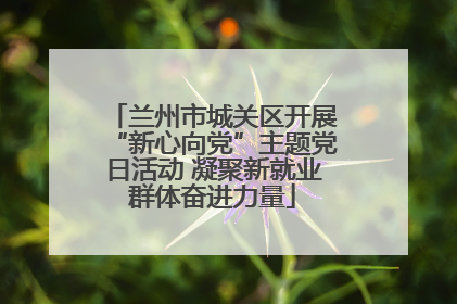 兰州市城关区开展“新心向党”主题党日活动 凝聚新就业群体奋进力量