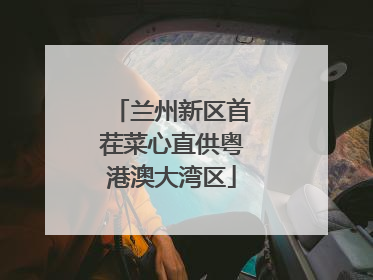 兰州新区首茬菜心直供粤港澳大湾区