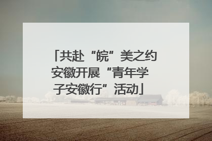 共赴“皖”美之约 安徽开展“青年学子安徽行”活动