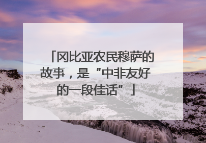 冈比亚农民穆萨的故事，是“中非友好的一段佳话”