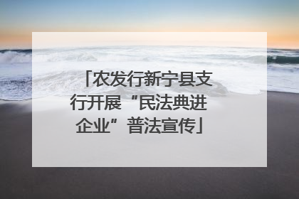农发行新宁县支行开展“民法典进企业”普法宣传