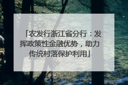 农发行浙江省分行：发挥政策性金融优势，助力传统村落保护利用