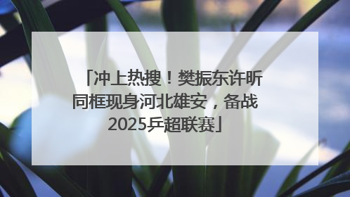 冲上热搜！樊振东许昕同框现身河北雄安，备战2025乒超联赛