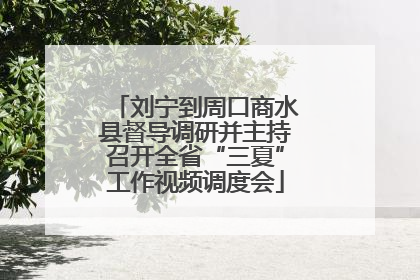 刘宁到周口商水县督导调研并主持召开全省“三夏”工作视频调度会