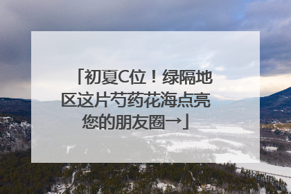 初夏C位！绿隔地区这片芍药花海点亮您的朋友圈→