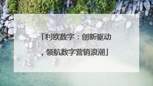 利欧数字：创新驱动，领航数字营销浪潮