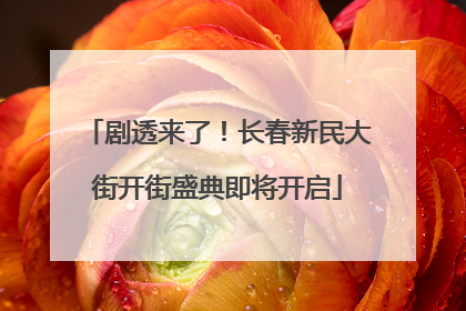 剧透来了！长春新民大街开街盛典即将开启