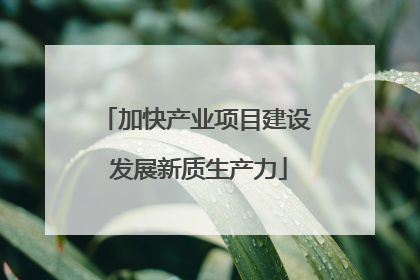 加快产业项目建设 发展新质生产力