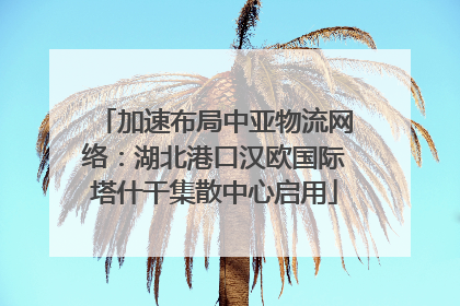 加速布局中亚物流网络：湖北港口汉欧国际塔什干集散中心启用