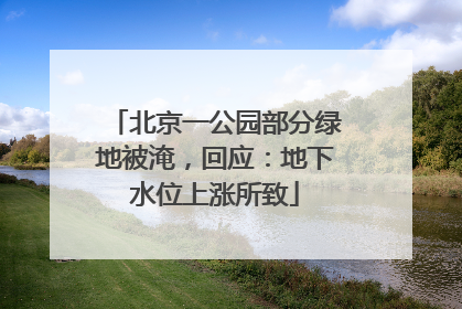 北京一公园部分绿地被淹，回应：地下水位上涨所致