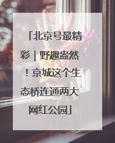 北京号最精彩｜野趣盎然！京城这个生态桥连通两大网红公园