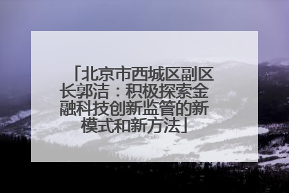 北京市西城区副区长郭洁：积极探索金融科技创新监管的新模式和新方法