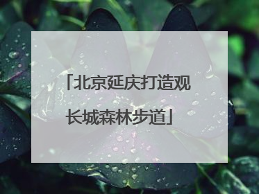 北京延庆打造观长城森林步道