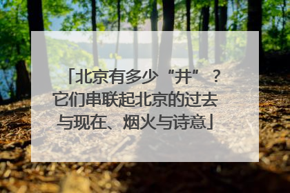 北京有多少“井”？它们串联起北京的过去与现在、烟火与诗意
