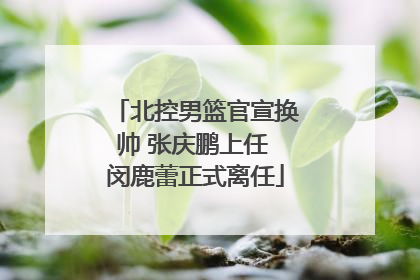 北控男篮官宣换帅 张庆鹏上任 闵鹿蕾正式离任