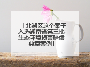 北湖区这个案子入选湖南省第三批生态环境损害赔偿典型案例