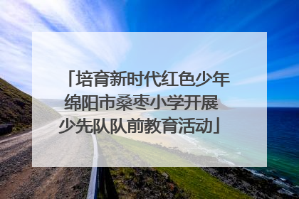 培育新时代红色少年 绵阳市桑枣小学开展少先队队前教育活动