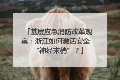 基层应急消防改革观察：浙江如何激活安全“神经末梢”？