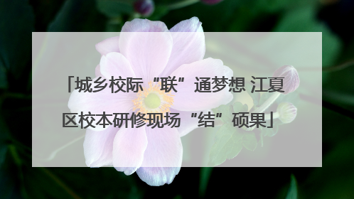 城乡校际“联”通梦想 江夏区校本研修现场“结”硕果