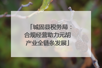 城固县税务局：合规经营助力元胡产业全链条发展