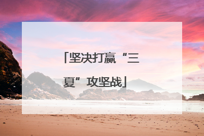 坚决打赢“三夏”攻坚战