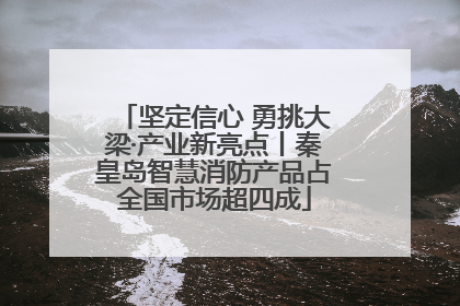 坚定信心 勇挑大梁·产业新亮点丨秦皇岛智慧消防产品占全国市场超四成