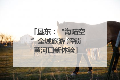 垦东：“海陆空”全域旅游 解锁黄河口新体验