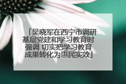 吴晓军在西宁市调研基层党建和学习教育时强调 切实把学习教育成果转化为惠民实效