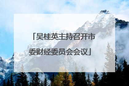 吴桂英主持召开市委财经委员会会议