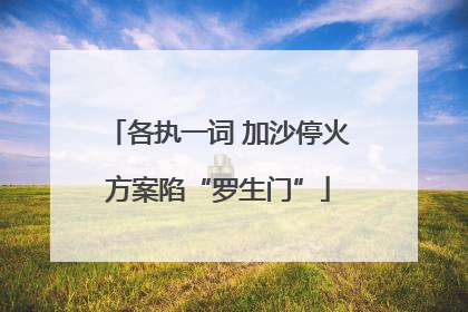 各执一词 加沙停火方案陷“罗生门”