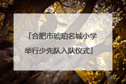 合肥市琥珀名城小学举行少先队入队仪式